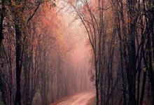 天涯神贴预测股市：那些论坛上的奇人奇贴和股市预言